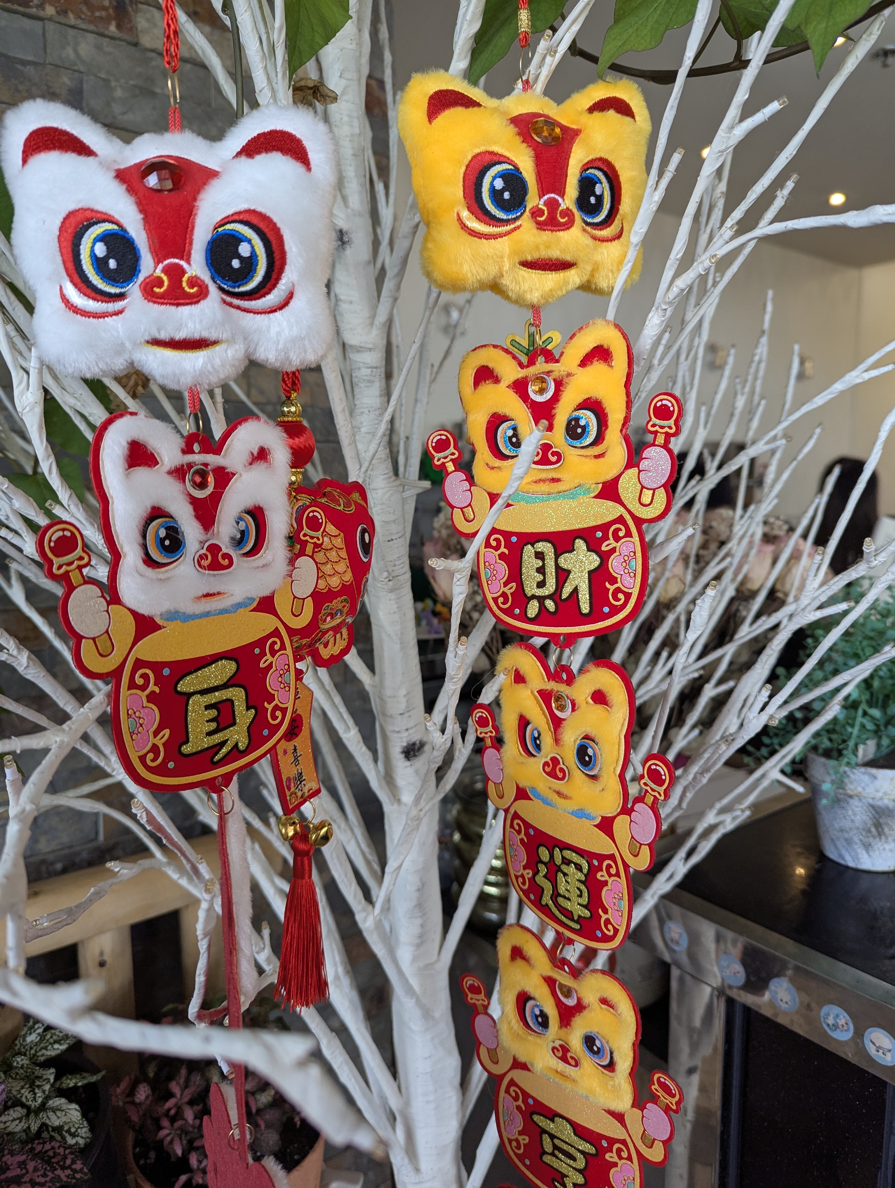 Birthday Trip to Canada, Edmonton